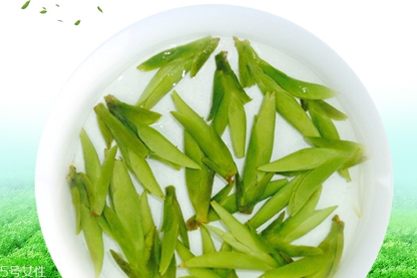 綠茶為什么苦 有幾個(gè)原因 綠茶為什么苦 有幾個(gè)原因