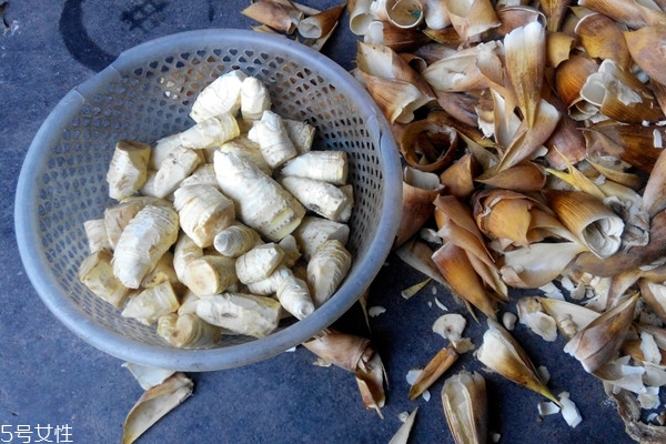 冬筍怎么挖 挖筍很簡單 冬筍怎么挖 挖筍很簡單