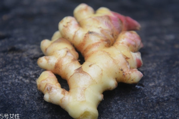 生姜怎么種植 其實(shí)并不難 生姜怎么種植 其實(shí)并不難