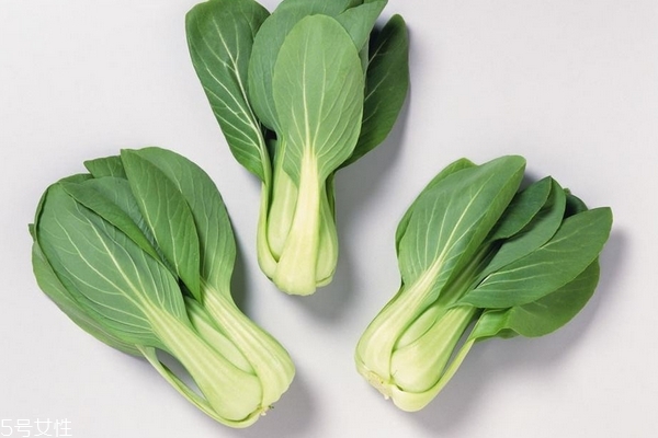 秋季可以種什么蔬菜 這些都可以 秋季可以種什么蔬菜 這些都可以