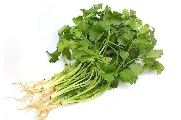 秋季可以種什么蔬菜 這些都可以 秋季可以種什么蔬菜 這些都可以