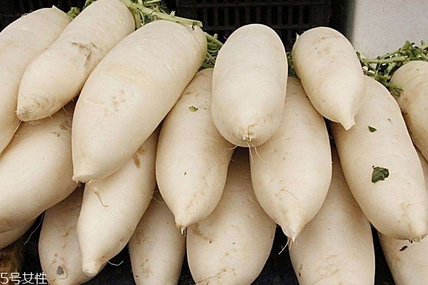 秋季可以種什么蔬菜 這些都可以 秋季可以種什么蔬菜 這些都可以