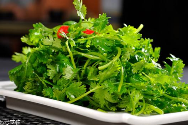 香菜的營養(yǎng)價值 吃香菜注意事項 香菜的營養(yǎng)價值 吃香菜注意事項