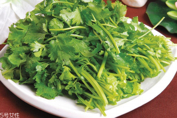 香菜的營養(yǎng)價值 吃香菜注意事項 香菜的營養(yǎng)價值 吃香菜注意事項