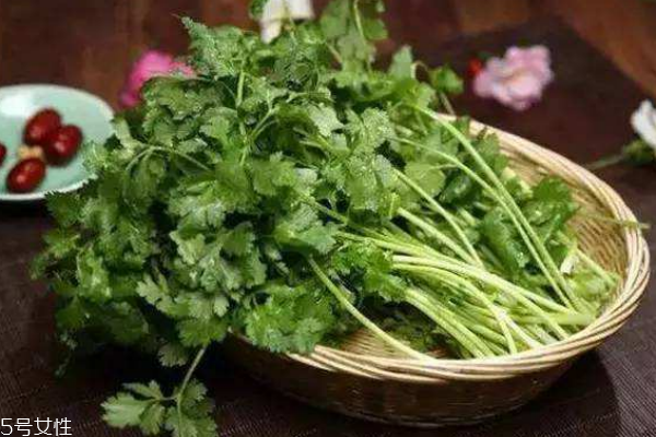 香菜的營養(yǎng)價值 吃香菜注意事項 香菜的營養(yǎng)價值 吃香菜注意事項