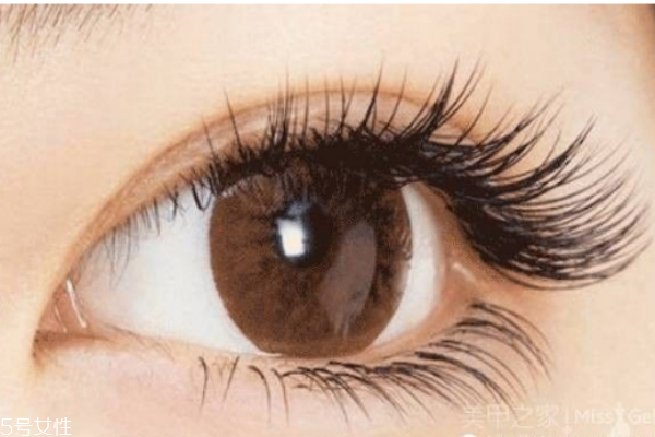 睫毛短怎么辦 實用睫毛增長化妝技巧 睫毛短怎么辦 實用睫毛增長化妝技巧