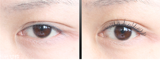 睫毛膏怎么刷沒(méi)有蒼蠅腿 又長(zhǎng)又翹的睫毛怎么刷出來(lái) 睫毛膏怎么刷沒(méi)有蒼蠅腿 又長(zhǎng)又翹的睫毛怎么刷出來(lái)