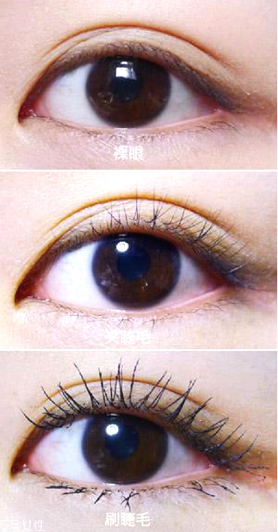 睫毛短用什么睫毛夾 這些都是你的大救星 睫毛短用什么睫毛夾 這些都是你的大救星