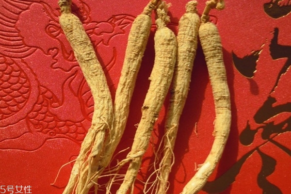 冬季養(yǎng)生補品人參你知道多少 冬季養(yǎng)生補品人參你知道多少