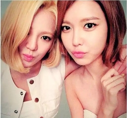 這些明顯都剪了LOB頭，你也可以試試