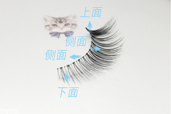 假睫毛可以戴著睡覺嗎 假睫毛的日常保養(yǎng) 假睫毛可以戴著睡覺嗎 假睫毛的日常保養(yǎng)