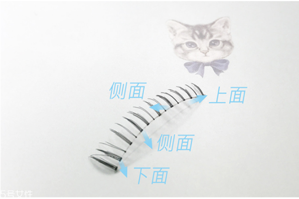 假睫毛可以戴著睡覺嗎 假睫毛的日常保養(yǎng) 假睫毛可以戴著睡覺嗎 假睫毛的日常保養(yǎng)