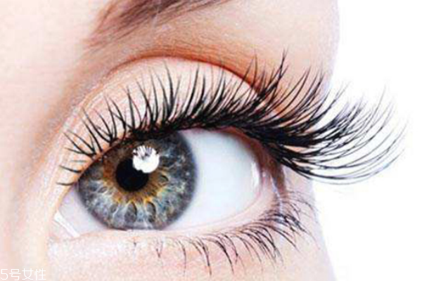 假睫毛可以戴著睡覺嗎 假睫毛的日常保養(yǎng) 假睫毛可以戴著睡覺嗎 假睫毛的日常保養(yǎng)