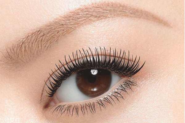 假睫毛可以用幾次 假睫毛也能重復(fù)使用 假睫毛可以用幾次 假睫毛也能重復(fù)使用