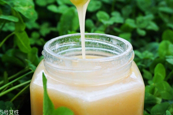 蜂蜜嘗起來會苦嗎 蜂蜜嘗起來像什么 蜂蜜嘗起來會苦嗎 蜂蜜嘗起來像什么