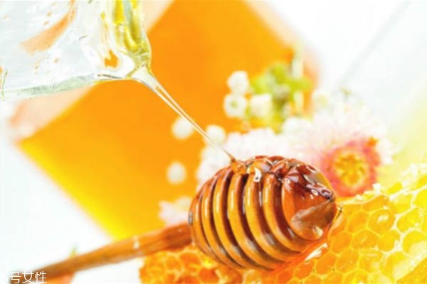 蜂蜜有什么藥用價值 蜂蜜的吃法 蜂蜜有什么藥用價值 蜂蜜的吃法