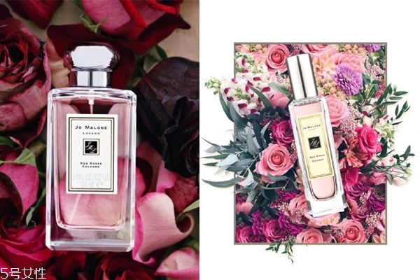 玫瑰味香水哪個(gè)牌子好 5款最值得擁有的玫瑰香 玫瑰味香水哪個(gè)牌子好 5款最值得擁有的玫瑰香