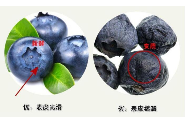 藍(lán)莓硬的好還是軟的好 優(yōu)質(zhì)藍(lán)莓很結(jié)實(shí) 藍(lán)莓硬的好還是軟的好 優(yōu)質(zhì)藍(lán)莓很結(jié)實(shí)