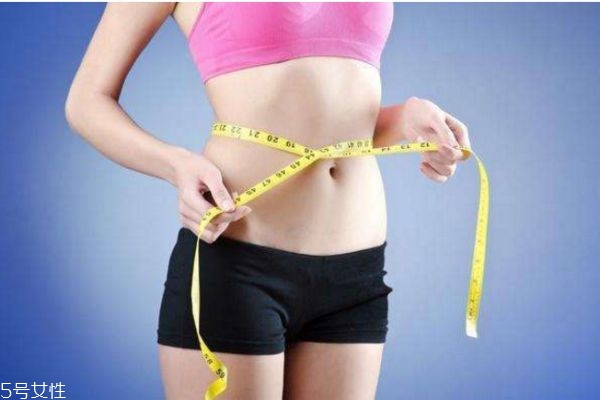 3337減肥法是什么 3337減肥法一輪瘦多少 3337減肥法是什么 3337減肥法一輪瘦多少