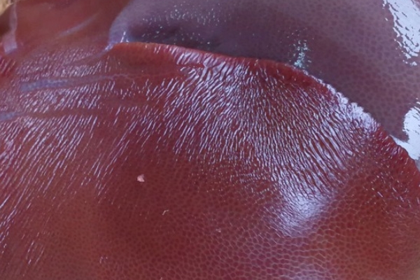 豬肝怎么煮 教你做豬肝湯 豬肝怎么煮 教你做豬肝湯