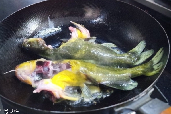 魚湯要不要放醋 可以適量放 魚湯要不要放醋 可以適量放