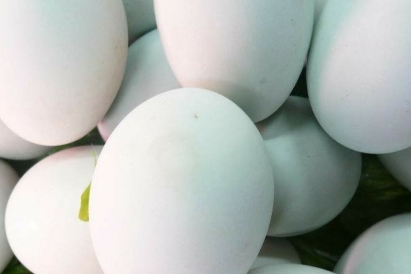 咸鴨蛋可以放微波爐嗎 這樣做就對了 咸鴨蛋可以放微波爐嗎 這樣做就對了