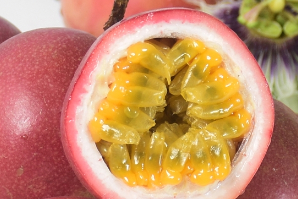 百香果是什么味道 酸酸的很帶感 百香果是什么味道 酸酸的很帶感