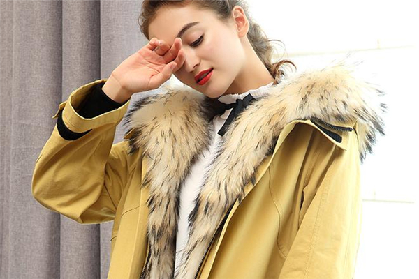 貉子毛皮草市場價(jià)格 多在千元以上 貉子毛皮草市場價(jià)格 多在千元以上