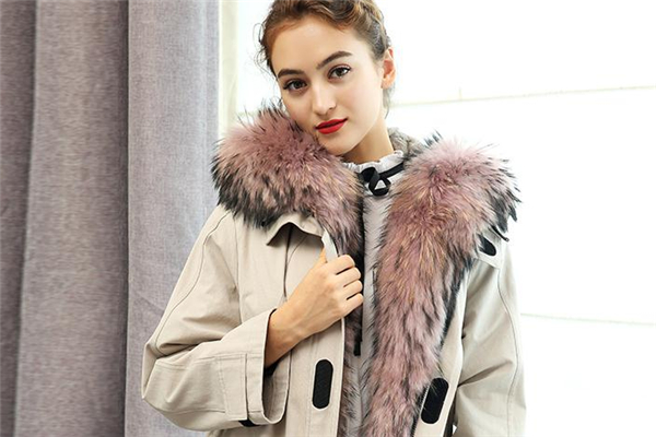 貉子毛皮草市場價(jià)格 多在千元以上 貉子毛皮草市場價(jià)格 多在千元以上