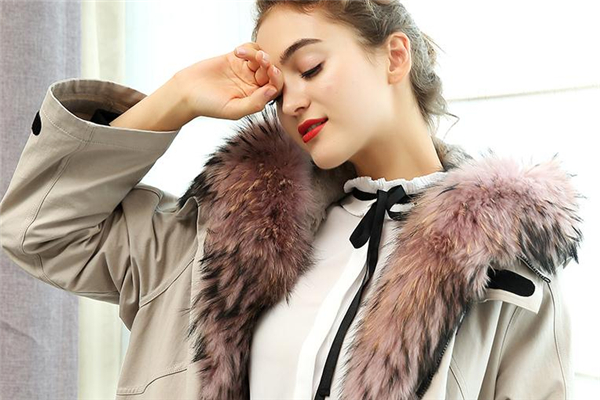 貉子毛皮草市場價(jià)格 多在千元以上 貉子毛皮草市場價(jià)格 多在千元以上