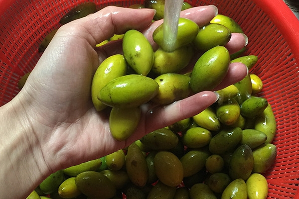 橄欖是水果嗎 屬于水果類 橄欖是水果嗎 屬于水果類