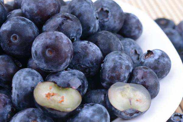 進(jìn)口藍(lán)莓產(chǎn)地哪里最好 這些產(chǎn)地要知道 進(jìn)口藍(lán)莓產(chǎn)地哪里最好 這些產(chǎn)地要知道