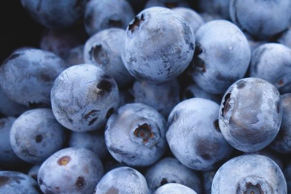 進(jìn)口藍(lán)莓產(chǎn)地哪里最好 這些產(chǎn)地要知道 進(jìn)口藍(lán)莓產(chǎn)地哪里最好 這些產(chǎn)地要知道