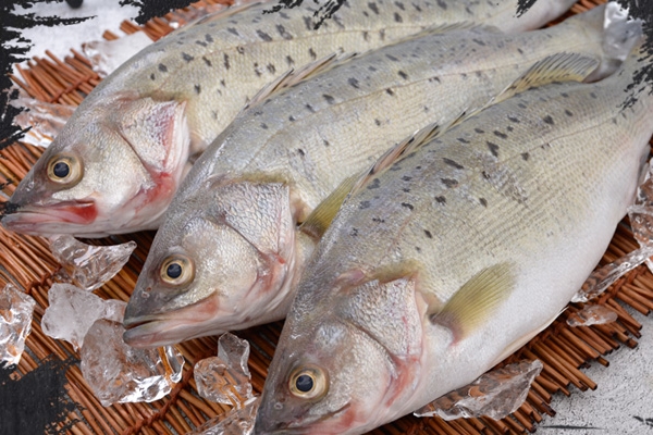 海鱸魚怎么去鱗 教你兩個方法 海鱸魚怎么去鱗 教你兩個方法