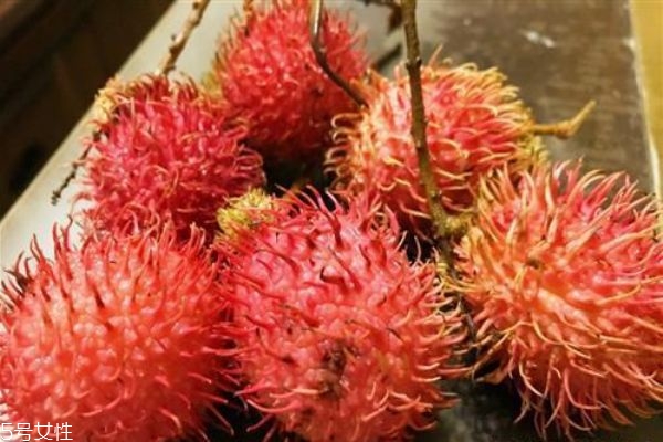 哪些人不可以吃紅毛丹 紅毛丹如何保存 哪些人不可以吃紅毛丹 紅毛丹如何保存