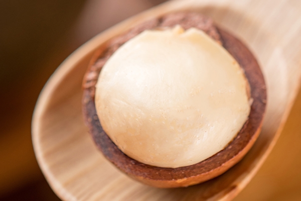 夏威夷果熱量 居然有這么高 夏威夷果熱量 居然有這么高