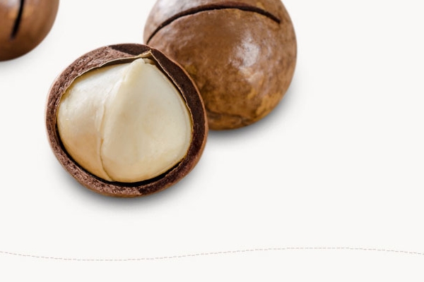 夏威夷果為什么叫夏威夷果 夏威夷是主要產(chǎn)地 夏威夷果為什么叫夏威夷果 夏威夷是主要產(chǎn)地