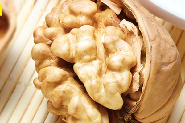 核桃怎么種植 需要細(xì)心照料 核桃怎么種植 需要細(xì)心照料