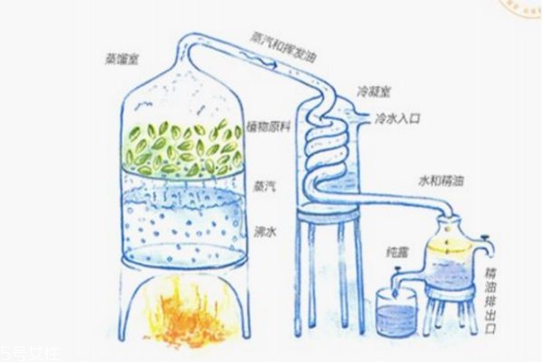 純露怎么做 純露敷臉的危害 純露怎么做 純露敷臉的危害