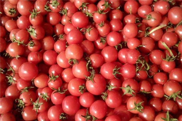 吃圣女果可以祛斑嗎 有淡化作用 吃圣女果可以祛斑嗎 有淡化作用