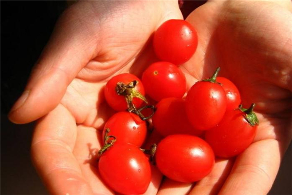 吃圣女果可以祛斑嗎 有淡化作用 吃圣女果可以祛斑嗎 有淡化作用