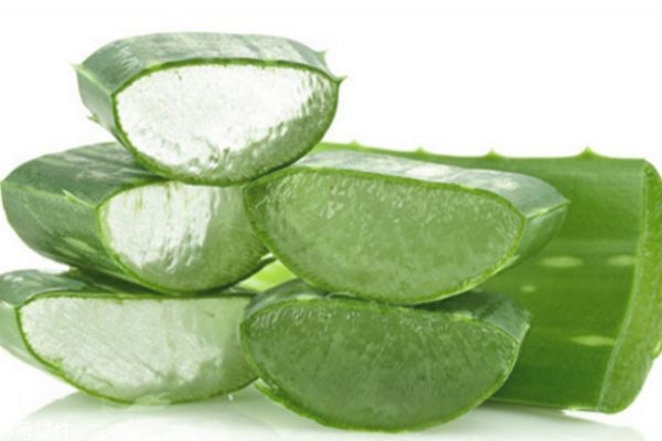 蘆薈自制面膜怎么做 蘆薈自制面膜做法 蘆薈自制面膜怎么做 蘆薈自制面膜做法