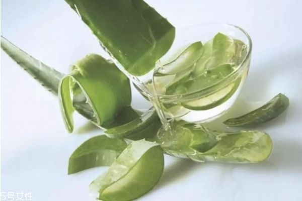 蘆薈自制面膜怎么做 蘆薈自制面膜做法 蘆薈自制面膜怎么做 蘆薈自制面膜做法