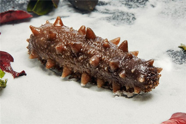 海參可以和菠蘿一起吃嗎 有很多好處 海參可以和菠蘿一起吃嗎 有很多好處