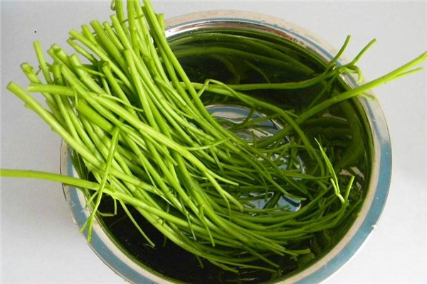 空心菜凍了還能吃嗎 看是否爛掉 空心菜凍了還能吃嗎 看是否爛掉