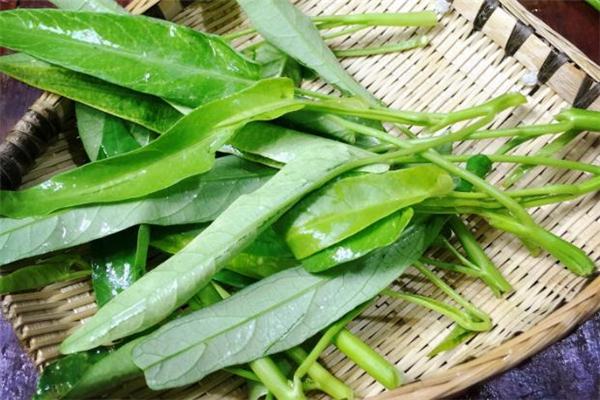 空心菜凍了還能吃嗎 看是否爛掉 空心菜凍了還能吃嗎 看是否爛掉