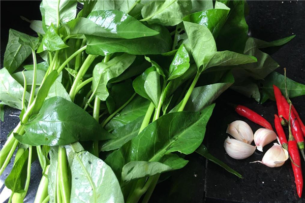 空心菜凍了還能吃嗎 看是否爛掉 空心菜凍了還能吃嗎 看是否爛掉