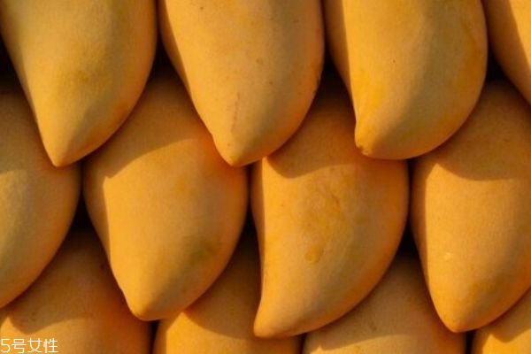 芒果可以空腹吃嗎 芒果的營養(yǎng)作用 芒果可以空腹吃嗎 芒果的營養(yǎng)作用