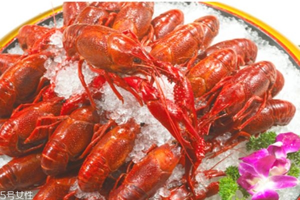 小龍蝦蝦線能吃嗎 吃蝦要三不吃 小龍蝦蝦線能吃嗎 吃蝦要三不吃
