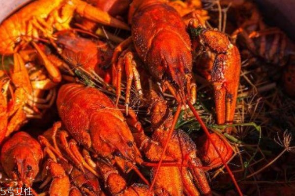 小龍蝦的黃到底能不能吃 怎么判斷是否是死蝦 小龍蝦的黃到底能不能吃 怎么判斷是否是死蝦